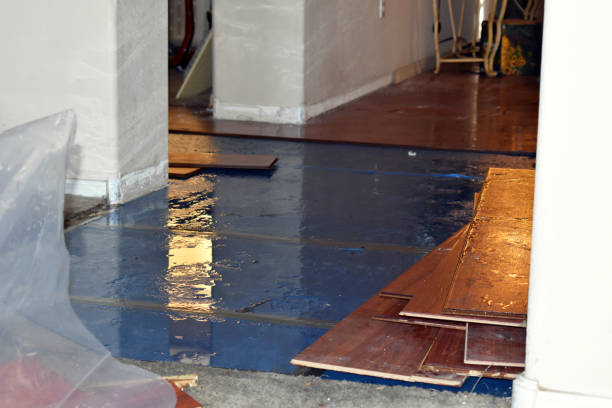 Professional Sewage Cleanup technician working in Buckley, MI