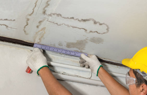 Reliable Sewage Cleanup contractor in Buckley, MI by Water Damage Irwin